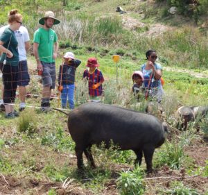 Children and pigs farm activity