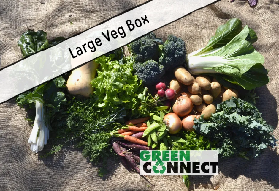 Large Veg Box $64/week Large Veg Box