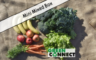 Mini Mixed Box