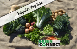 Regular Veg Box