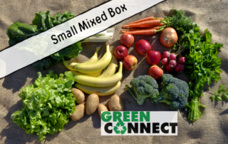 Small Mix Green Connect Box