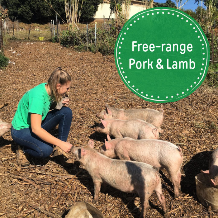 woman feeding pigs - free-range pork & lamb