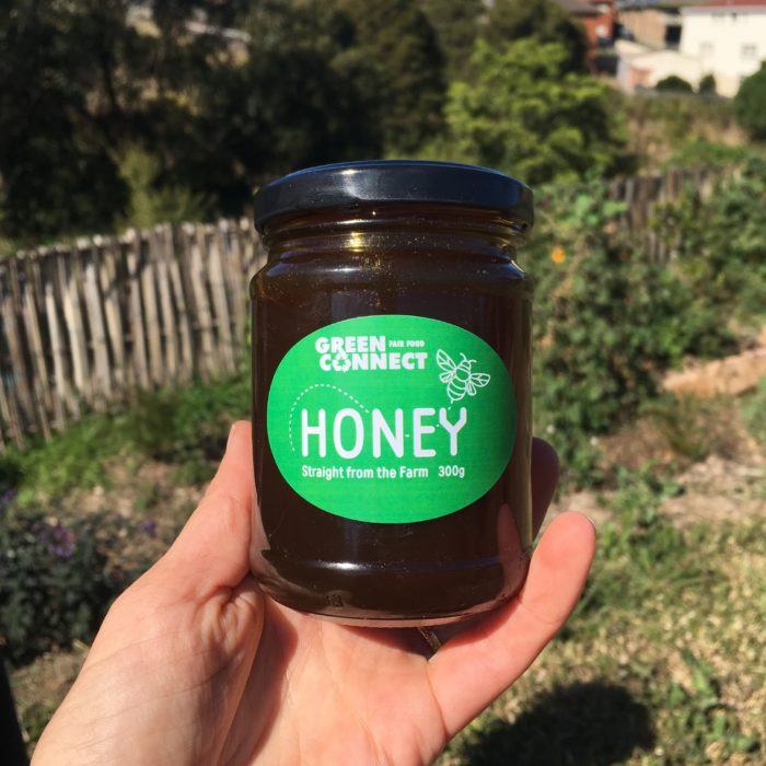 hand holding honey jar on Green Connect farm