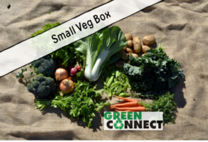 Small Veg Green Connect Box