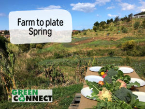 Farm to plate - spring, workshop by Green Connect