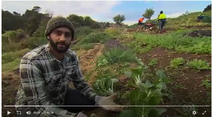 Green Connect Landline feature