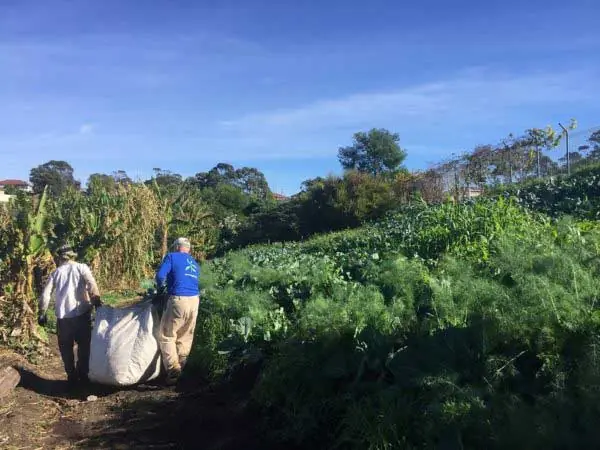 Green-Connect-Volunteer-Dig-Day
