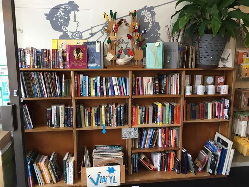 Melbourne-op-shop--visit-Kylie-flament-vinyls-books