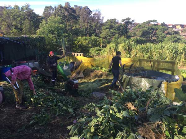 Volunteers-helping-farm-wollongong