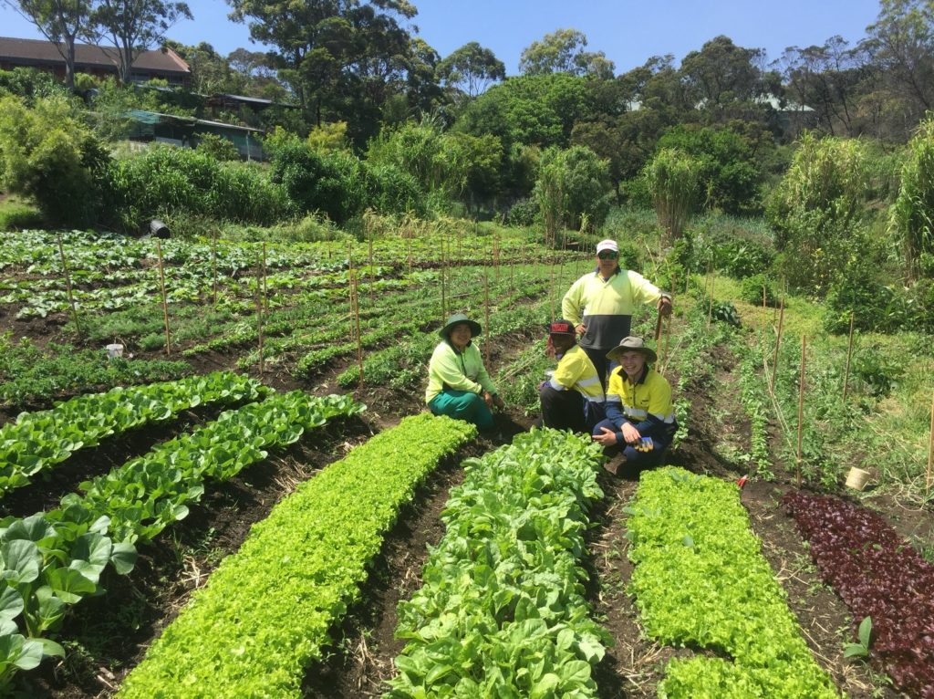 How the 12 Principles of Permaculture can transform your garden (and ...