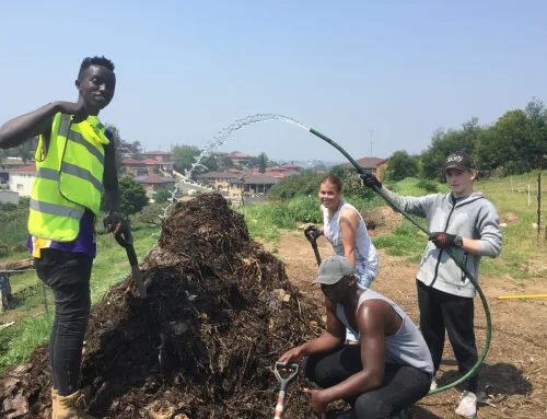 Youth Engagement at the farm – Veg Box insert 30 January 2020