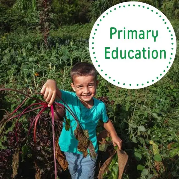 Primary-education-excursion-Green-Connect-Wollongong Primary-education-excursion-Green-Connect-Wollongong