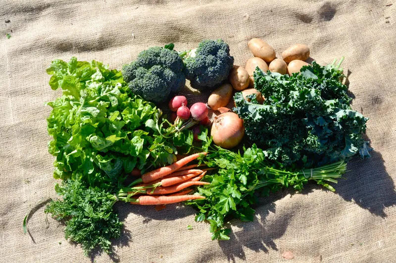 Support-local-farm-Veg-Box-Illawarra-Green-Connect- Support-local-farm-Veg-Box-Illawarra-Green-Connect-