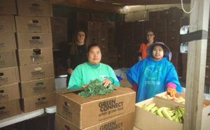 Packing of Green Connect veg boxes
