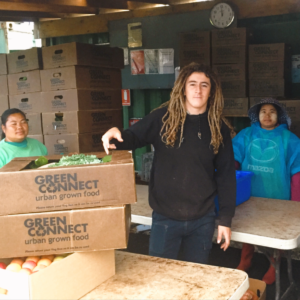 staff at the green connect farm packing veg boxes