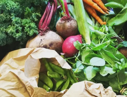 What to expect from Green Connect this Winter!