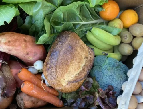 The Zero-Waste Veg Box