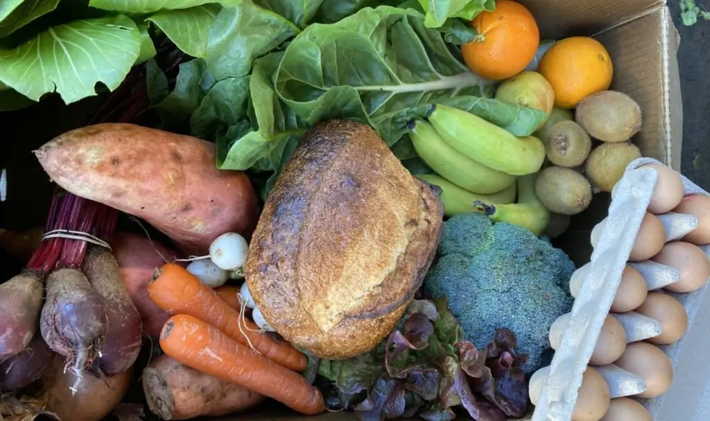 Green Connect zero waste veg boxes