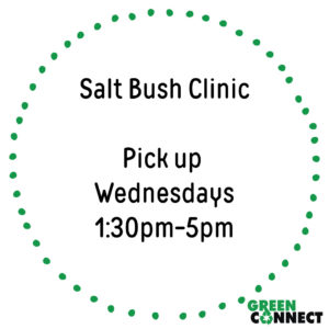salt bush clinic collections