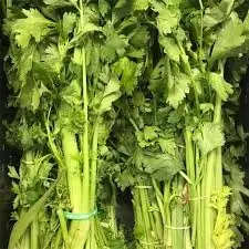 Chinese Celery