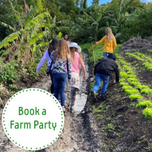 green connect farm party