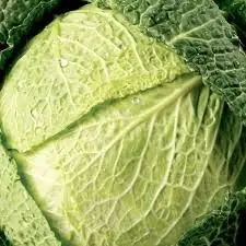 cabbage