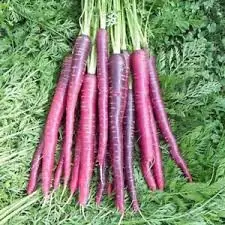 root veg