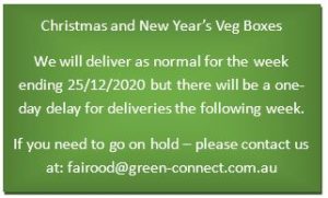 christmas delivery delay notice