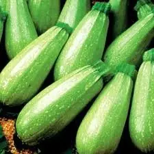 zucchini