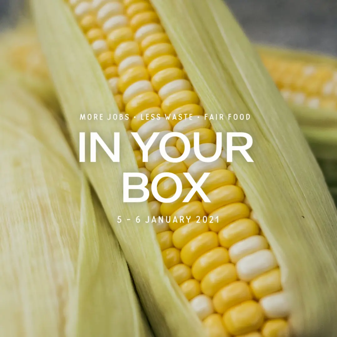 20210106 in your box