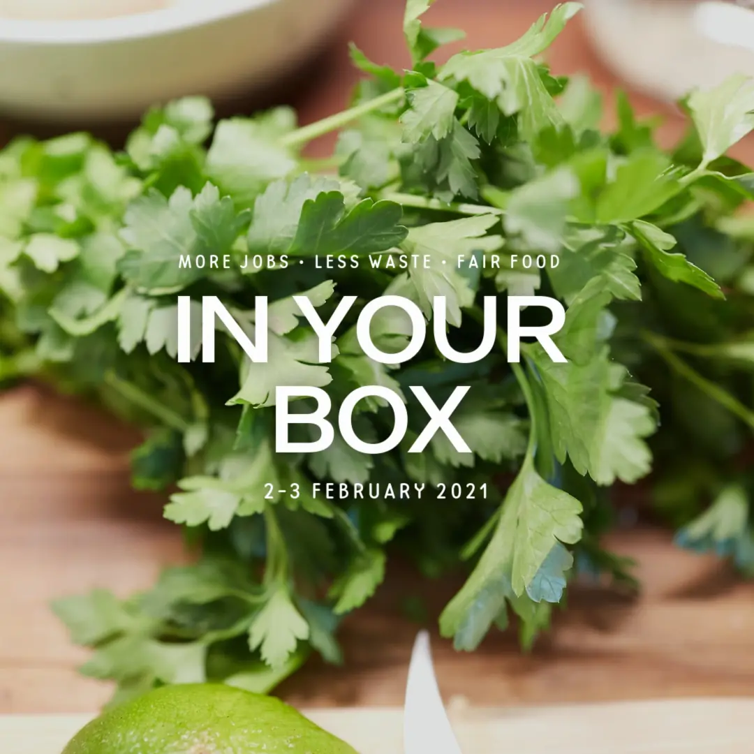 20210203 IN YOUR BOx