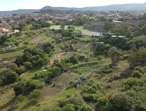 Green Connect News February 2021