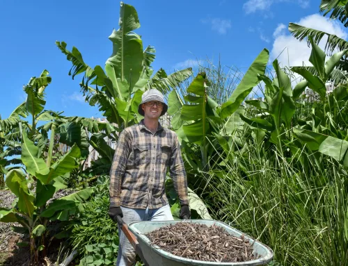 Volunteering on Green Connect’s farm: “The goats are a bit cheeky”