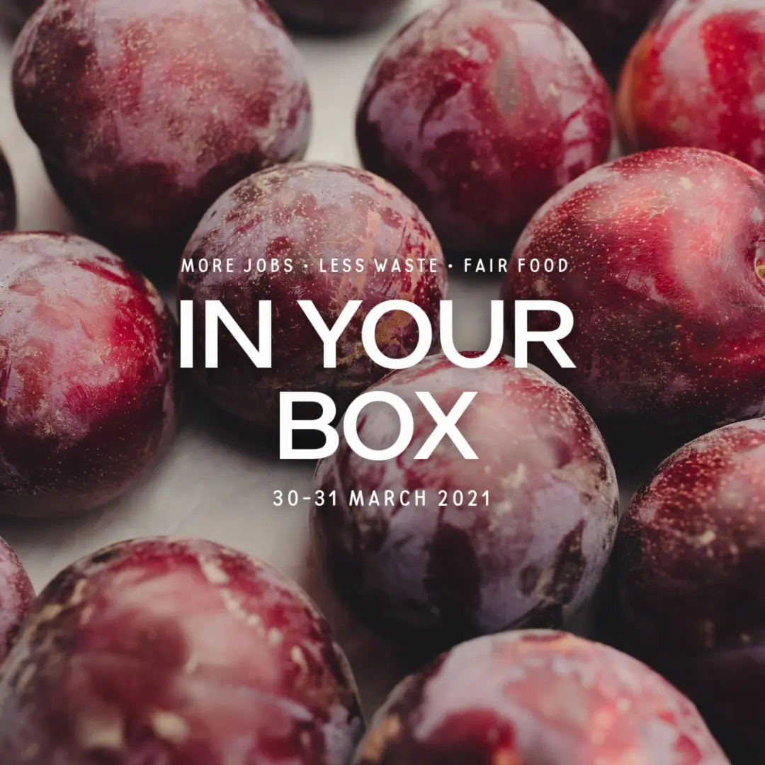 20210331 in your box