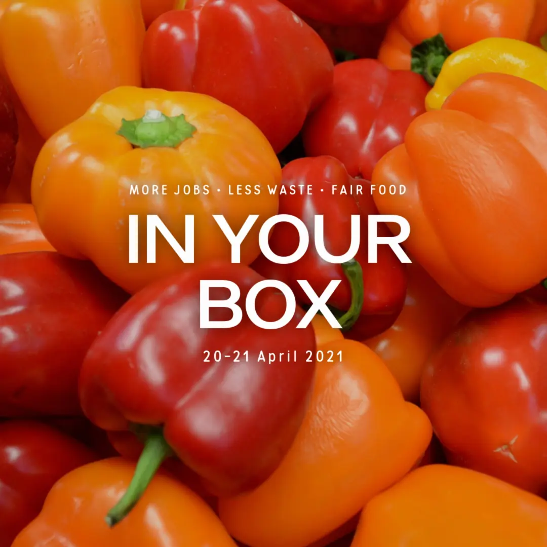 20210421 in your box