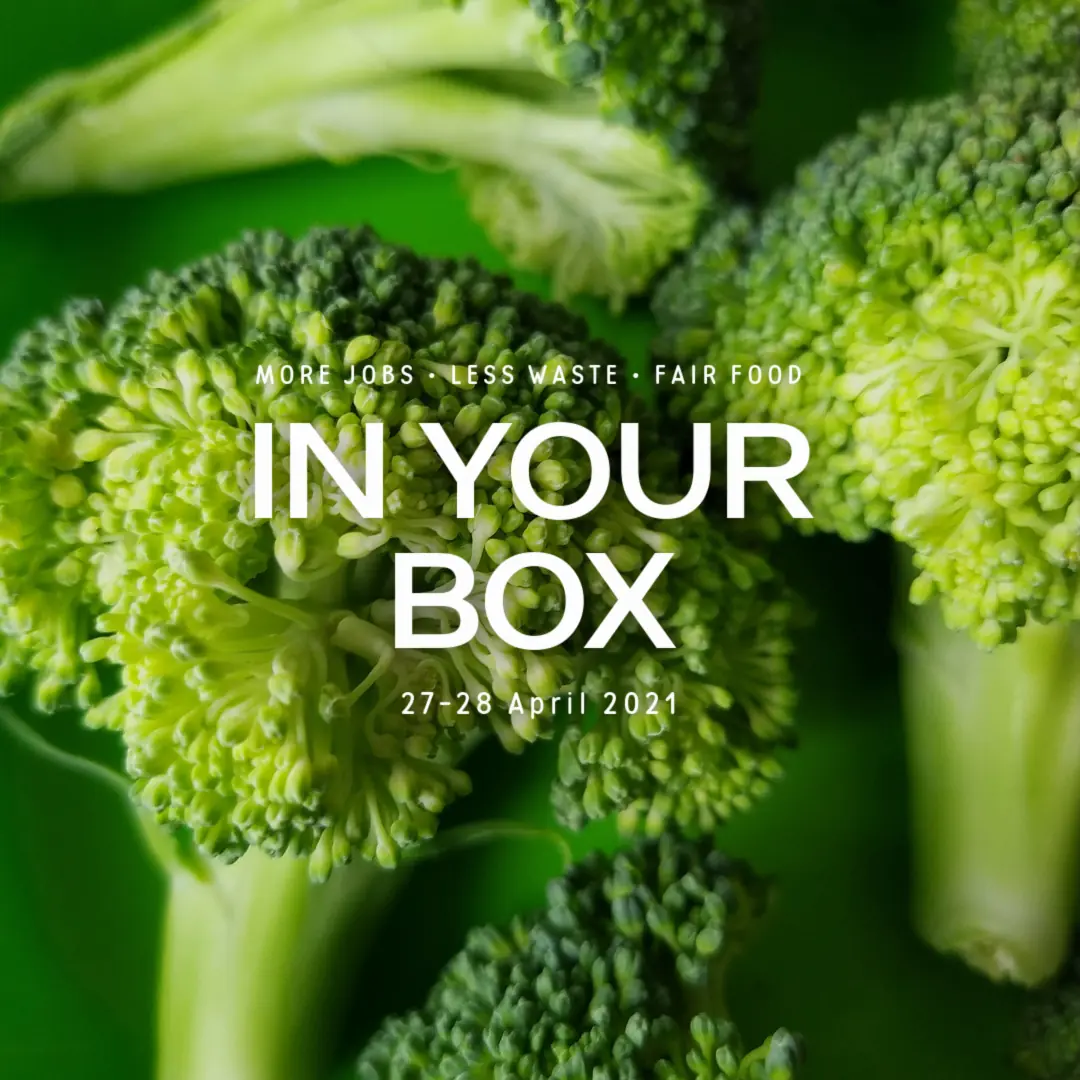 20210428 in your box