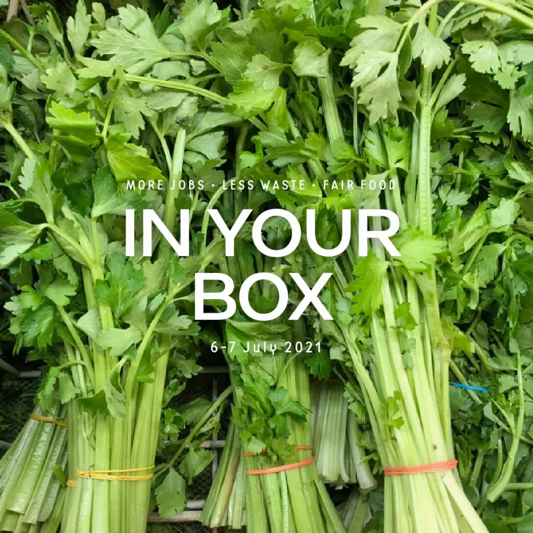 20210707 In your box