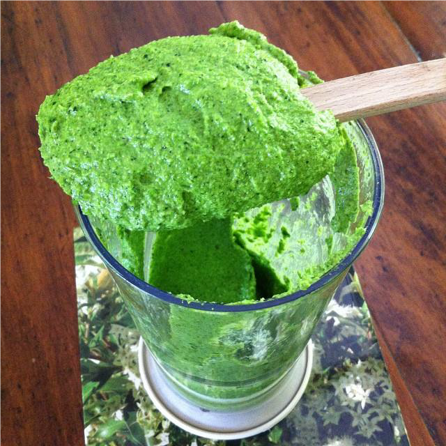 Warrigal greens pesto in cup