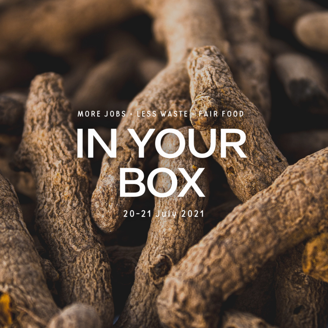 Turmeric root in your box 20210721