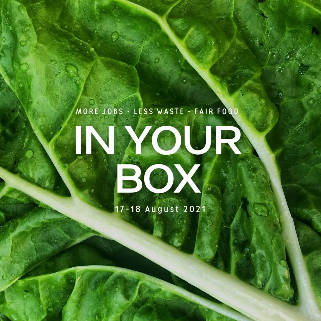 silverbeet leaf cover image