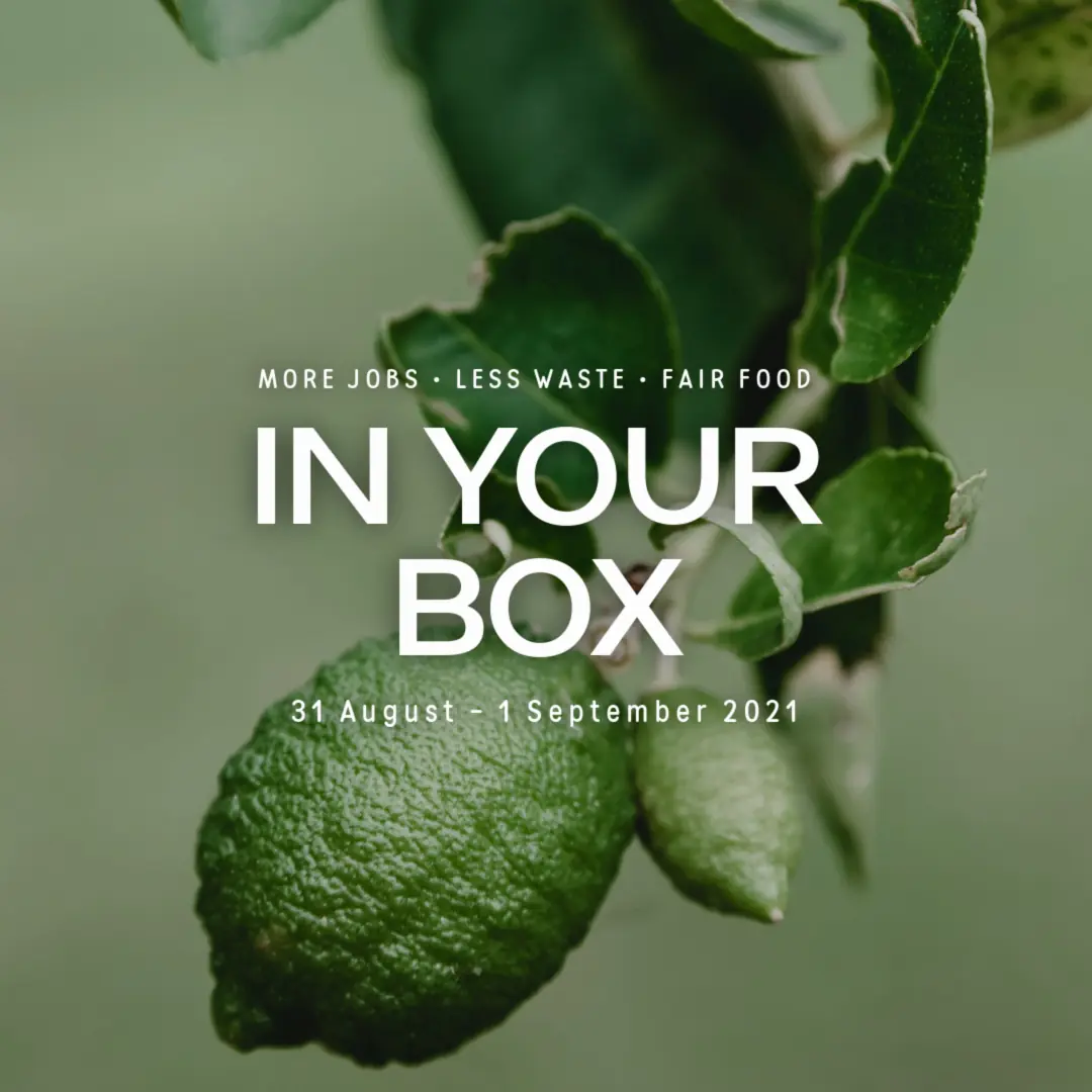 Lime on tree with leaves