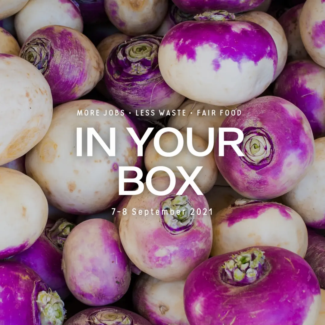 Turnips - in your box 20210901