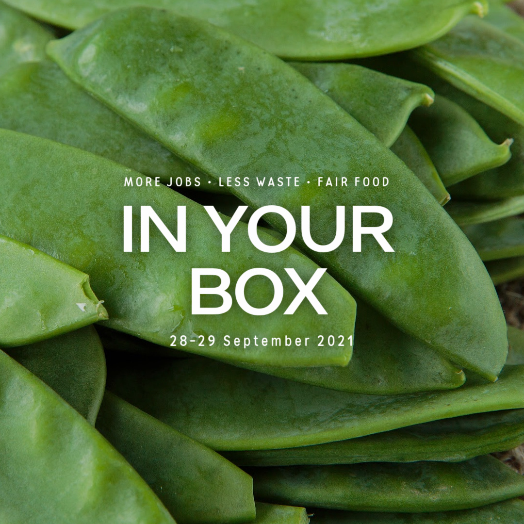 Snow peas "in your box 28-29 September 2021"