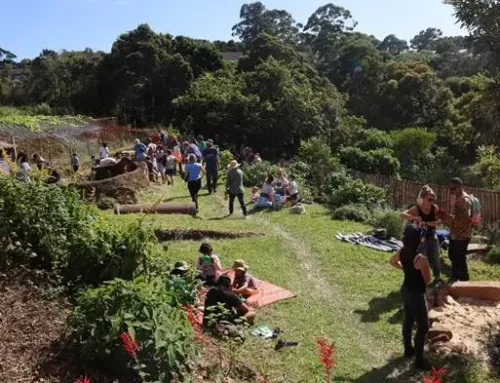 Green Connect News March 2021