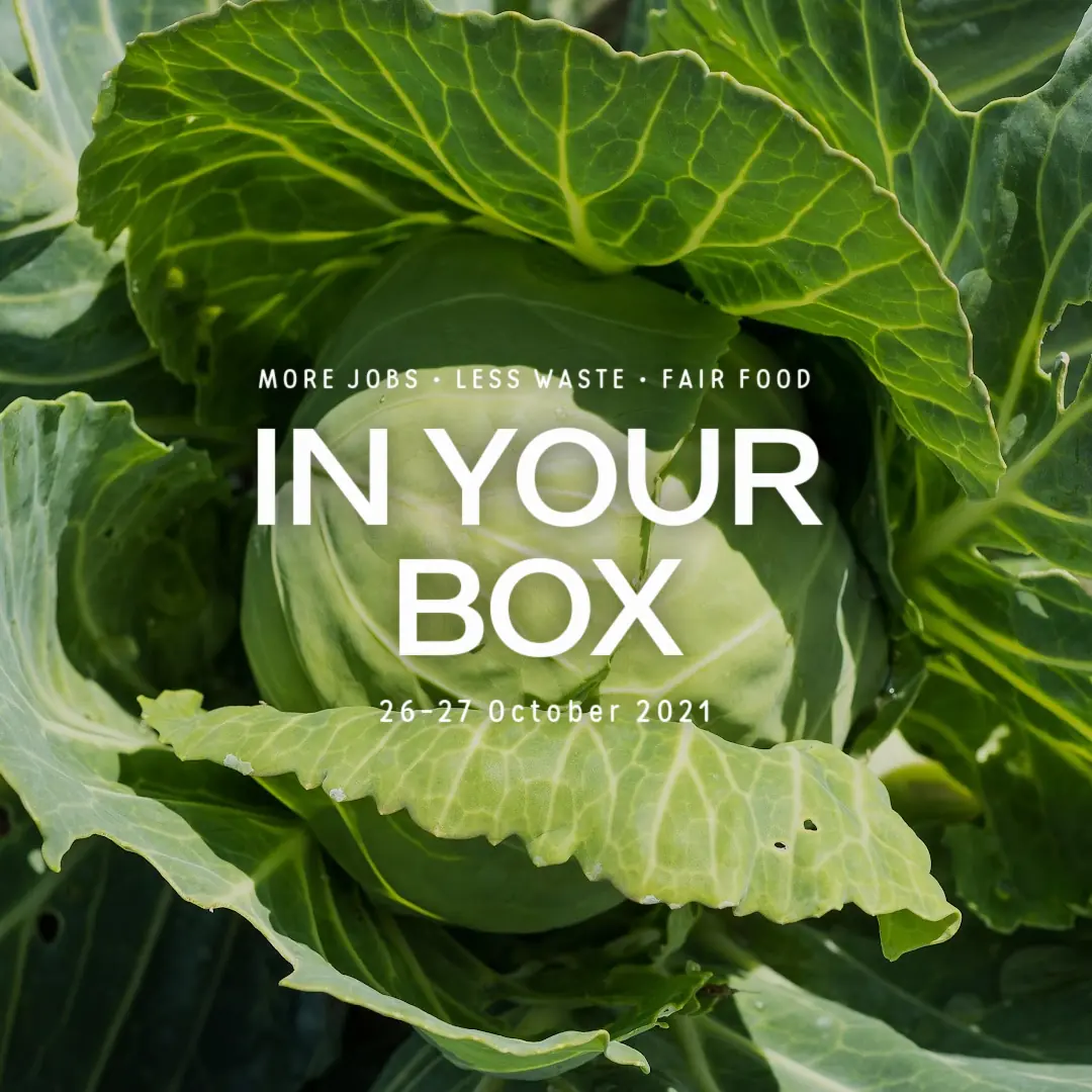 cabbage cover photo - Oct 26-27