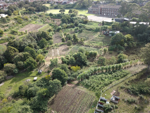 aerial view of green connect farm