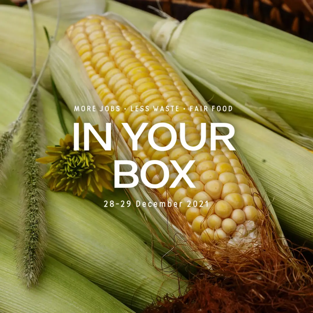 cover photo - corn on the cob