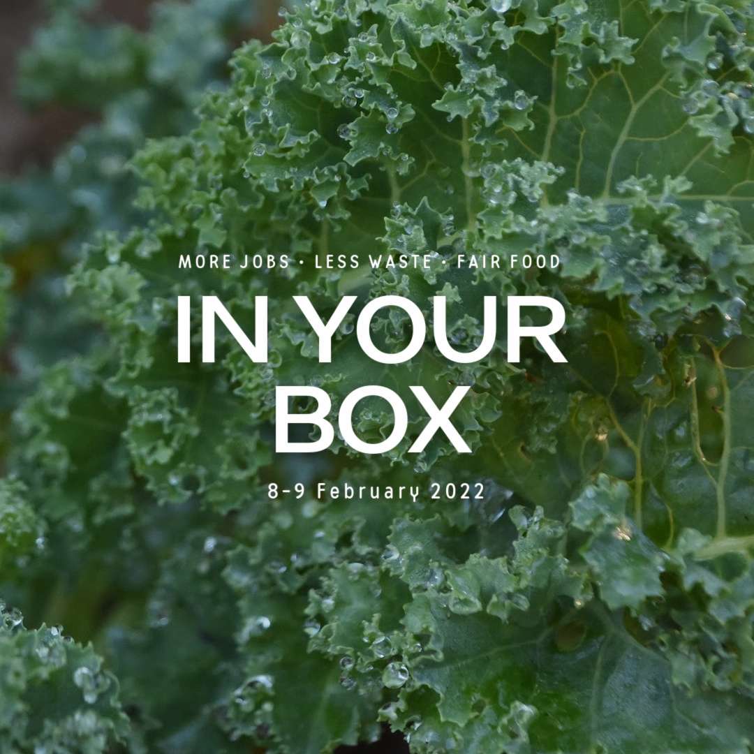 Curly leaf kale in background with words 'In Your Box' and '8-9 February 2022'
