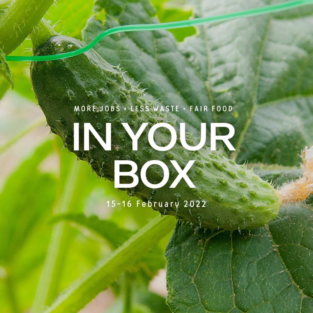 Cover photo with 'In Your Box', '15-16 February 2022' written and a cucumber growing on a vine in background