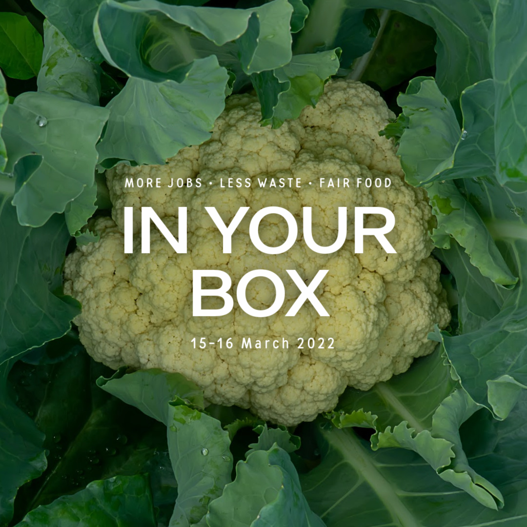 Cover photo with 'In Your Box', '15/16 March 2022' written and cauliflower surrounded by green leaves in background